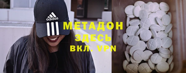 хмурый Аркадак